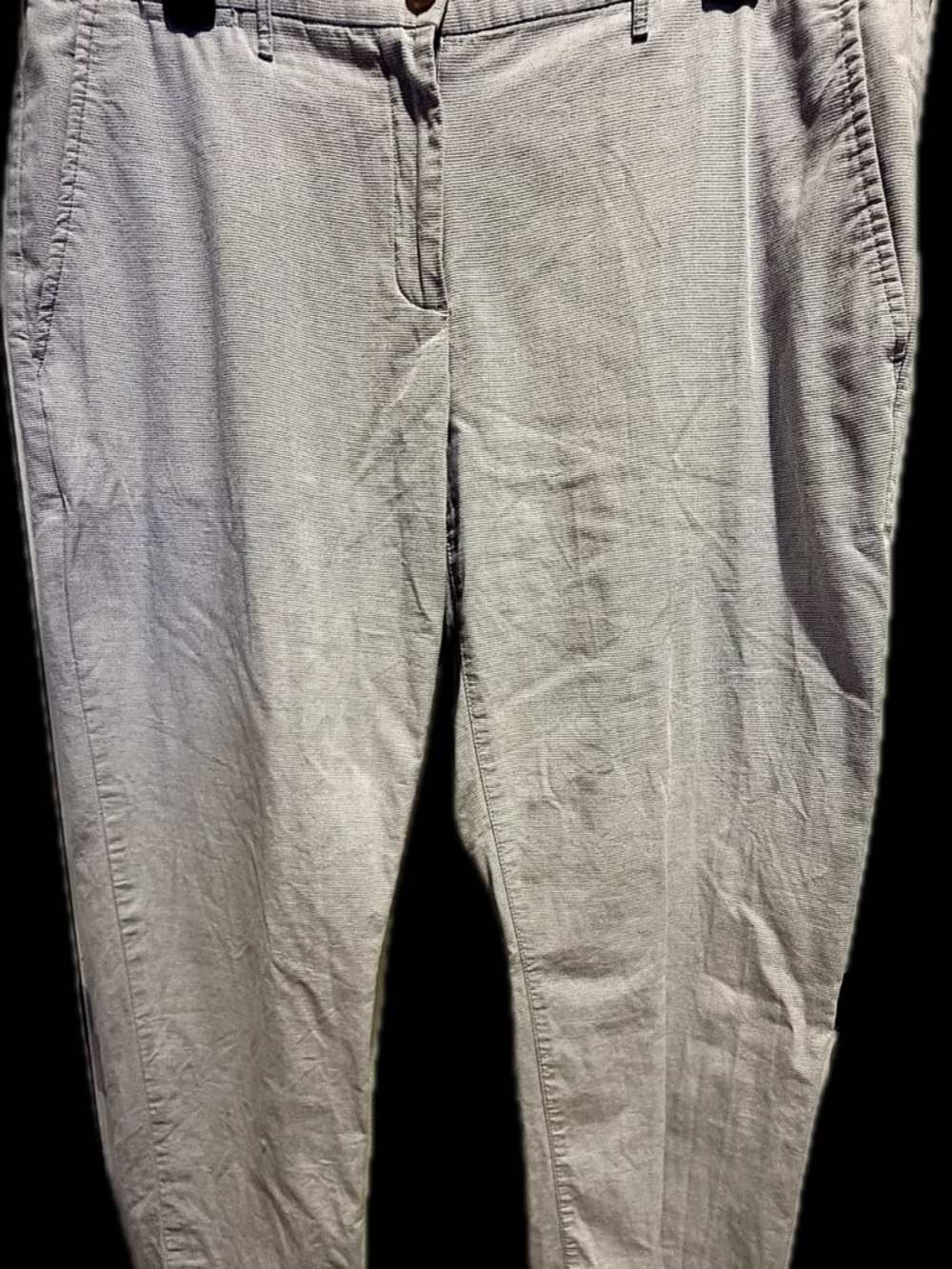 GAP Women’s Pinstriped Chino Pants